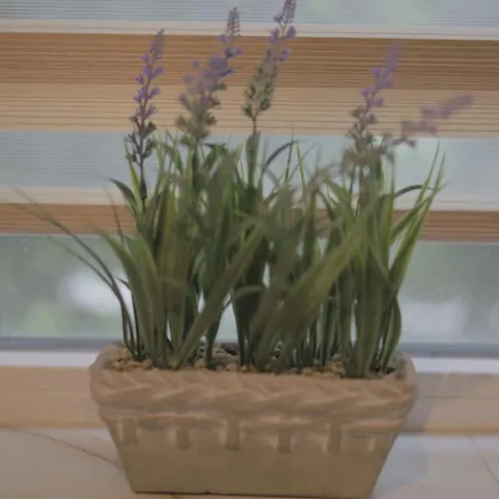 Apartmán Luximo Ruse