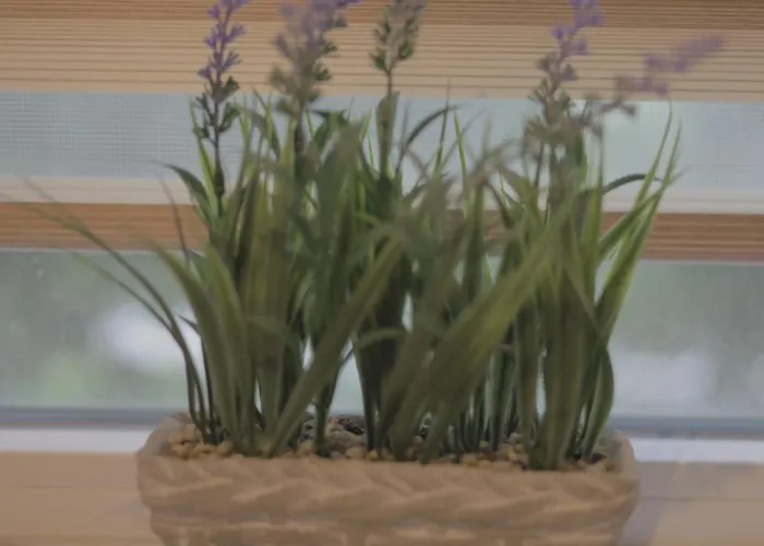 Apartamento Luximo Ruse